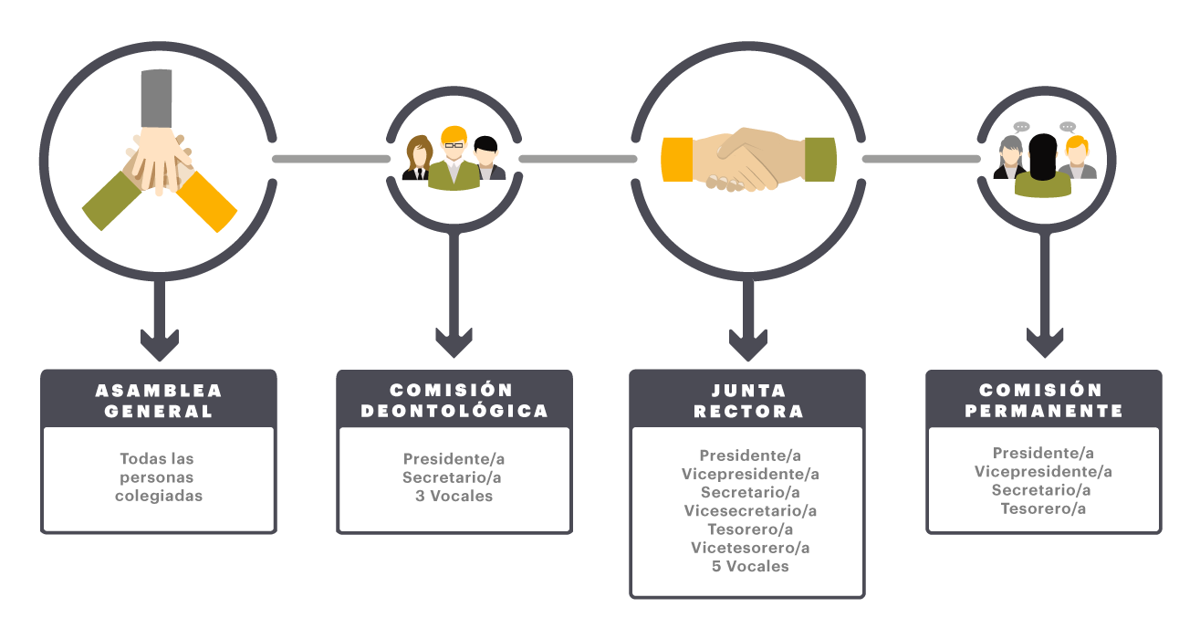 Organigrama