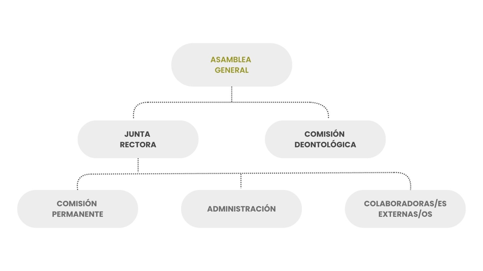 Organigrama